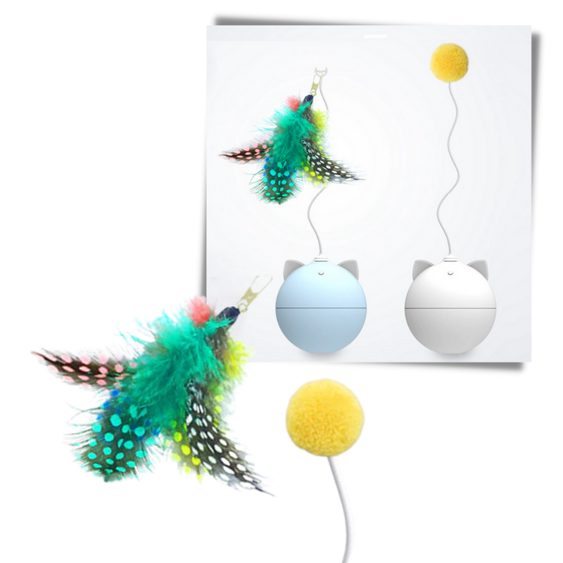 Cat Toy Ball With Auto-Roll Feature