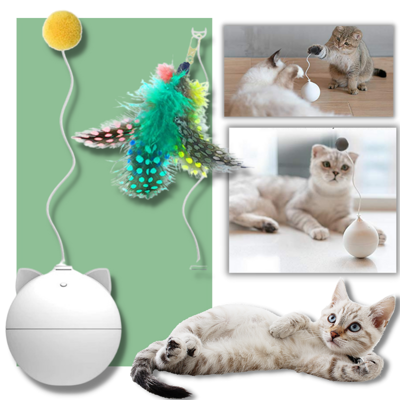 Cat Toy Ball With Auto-Roll Feature