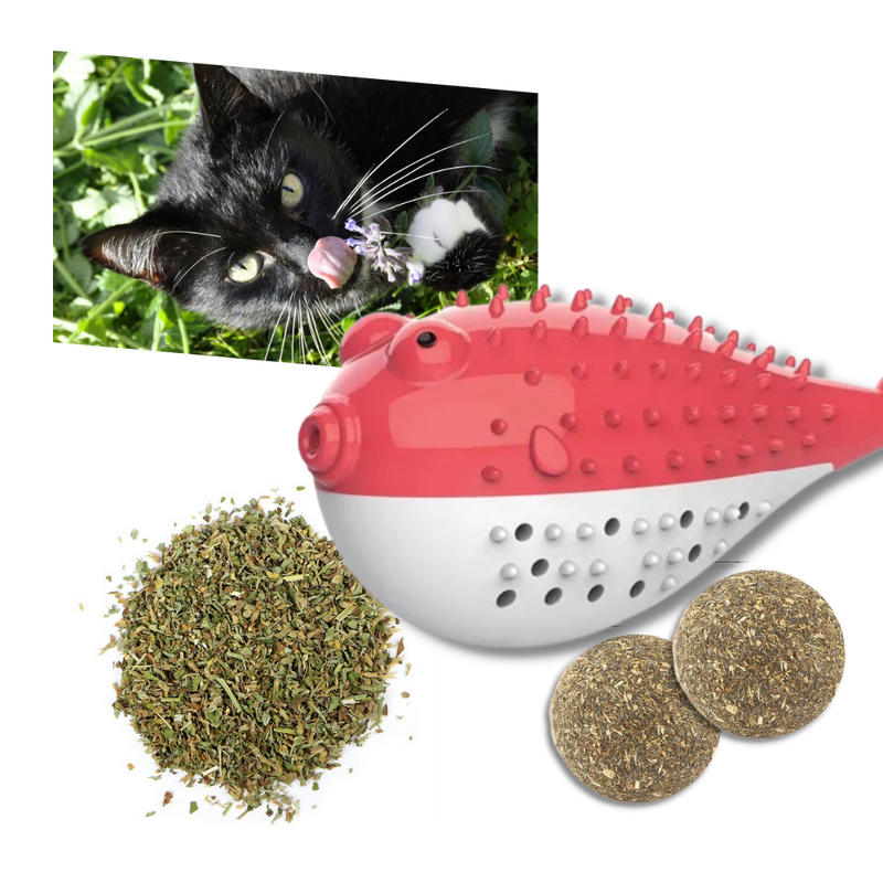 Fish shaped refillable cat toothbrush