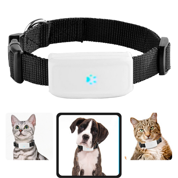 Pet GPS Tracking Collar