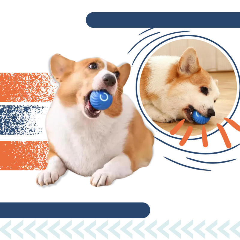 Obstacle Avoidance Dog Ball
