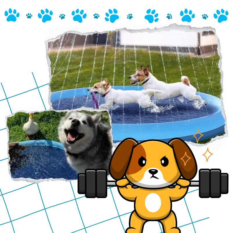 Portable Dog Splash Pad