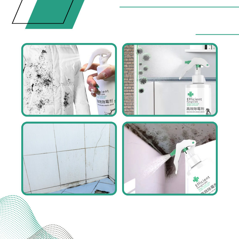 Powerful Mold Remover Spray
