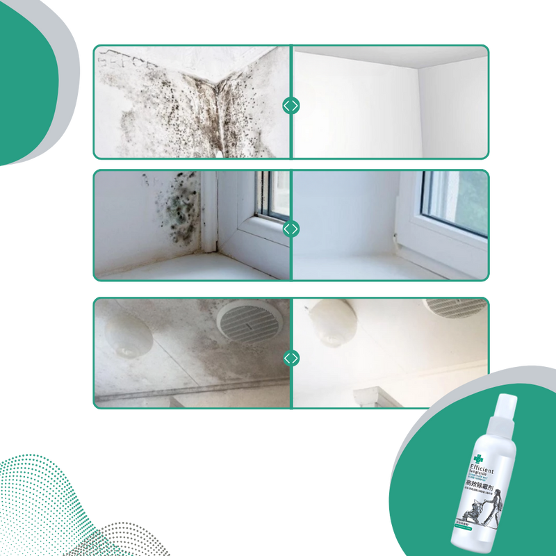 Powerful Mold Remover Spray