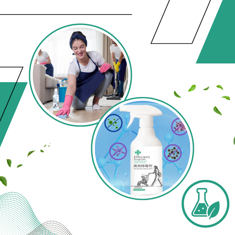 Powerful Mold Remover Spray