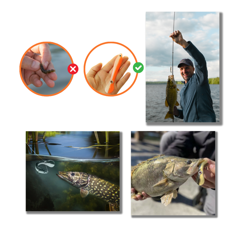 Realistic Fishing Baits