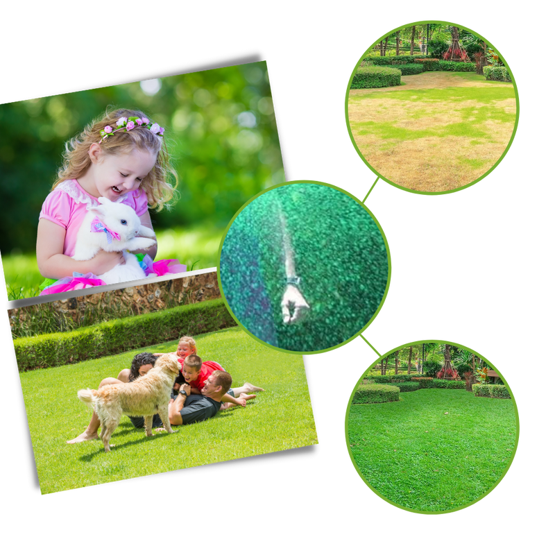 Revitalizing Lawn Grass Spray